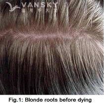 240606152722_Hair-Before Dying-s.jpg